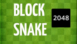 Snake 2048